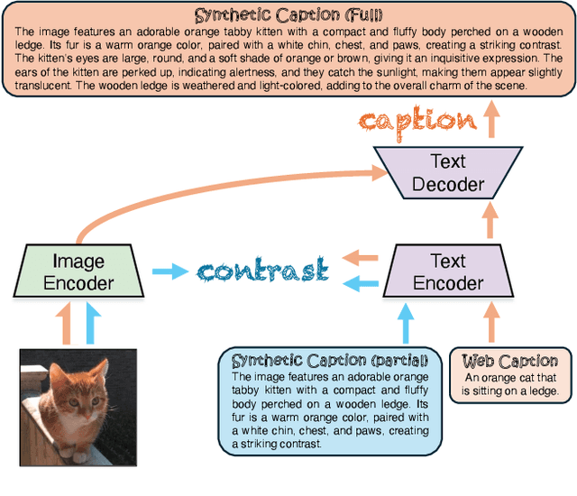 Figure 1 for CLIPS: An Enhanced CLIP Framework for Learning with Synthetic Captions