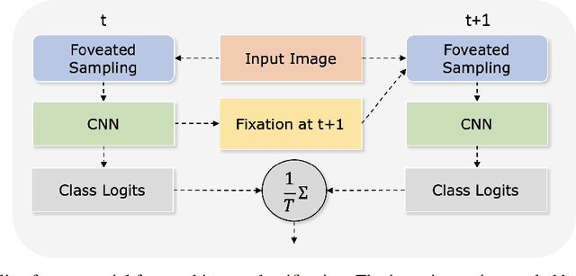 Figure 1 for Foveation in the Era of Deep Learning