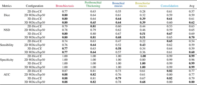 Figure 2 for CT evaluation of 2D and 3D holistic deep learning methods for the volumetric segmentation of airway lesions