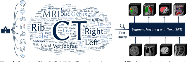 Figure 1 for One Model to Rule them All: Towards Universal Segmentation for Medical Images with Text Prompts