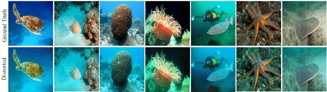 Figure 2 for Separated Attention: An Improved Cycle GAN Based Under Water Image Enhancement Method