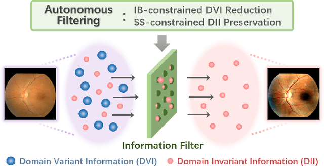 Figure 1 for AIF-SFDA: Autonomous Information Filter-driven Source-Free Domain Adaptation for Medical Image Segmentation