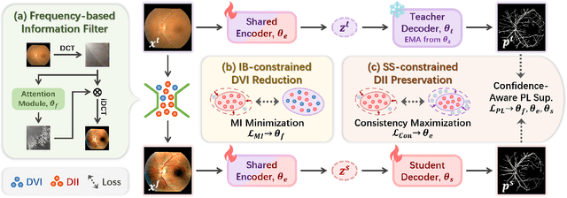 Figure 3 for AIF-SFDA: Autonomous Information Filter-driven Source-Free Domain Adaptation for Medical Image Segmentation