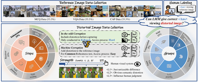 Figure 2 for R-Bench: Are your Large Multimodal Model Robust to Real-world Corruptions?