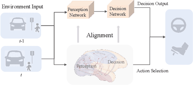 Figure 1 for A Brain-Inspired Perception-Decision Driving Model Based on Neural Pathway Anatomical Alignment