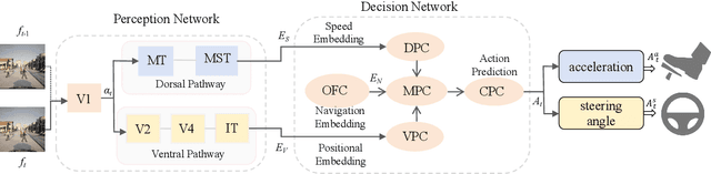 Figure 2 for A Brain-Inspired Perception-Decision Driving Model Based on Neural Pathway Anatomical Alignment