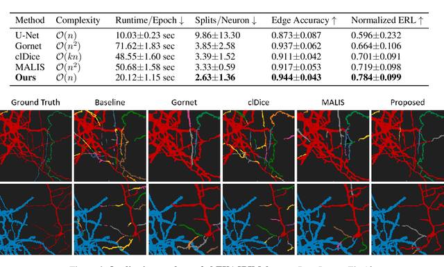 Figure 4 for Efficient Connectivity-Preserving Instance Segmentation with Supervoxel-Based Loss Function