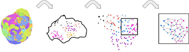 Figure 1 for Block Graph Neural Networks for tumor heterogeneity prediction