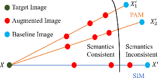 Figure 1 for Improving the Transferability of Adversarial Samples by Path-Augmented Method