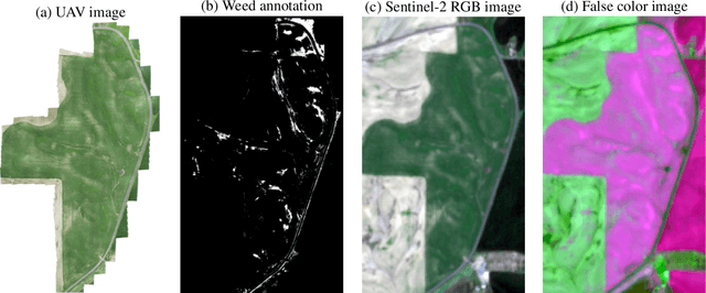 Figure 1 for Remote Sensing for Weed Detection and Control