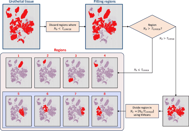 Figure 4 for NMGrad: Advancing Histopathological Bladder Cancer Grading with Weakly Supervised Deep Learning