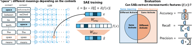 Figure 1 for Rethinking Evaluation of Sparse Autoencoders through the Representation of Polysemous Words