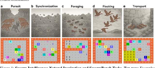 Figure 1 for Benchmarking LLMs' Swarm intelligence