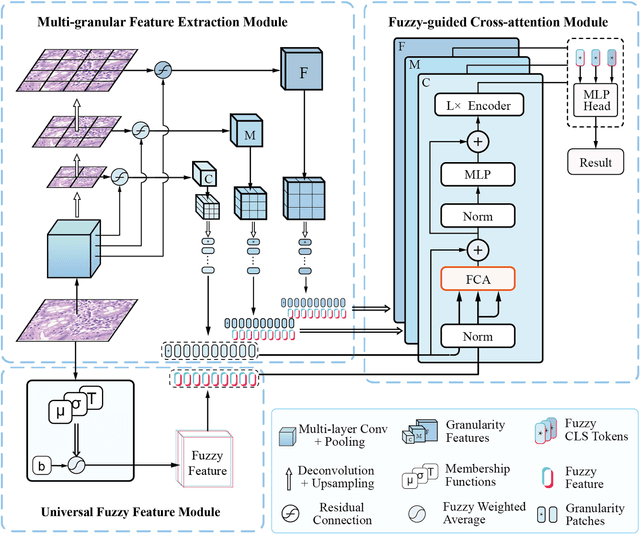 Figure 1 for FMDNN: A Fuzzy-guided Multi-granular Deep Neural Network for Histopathological Image Classification