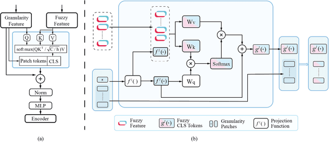 Figure 2 for FMDNN: A Fuzzy-guided Multi-granular Deep Neural Network for Histopathological Image Classification