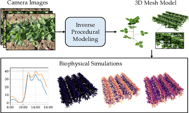 Figure 1 for CropCraft: Inverse Procedural Modeling for 3D Reconstruction of Crop Plants