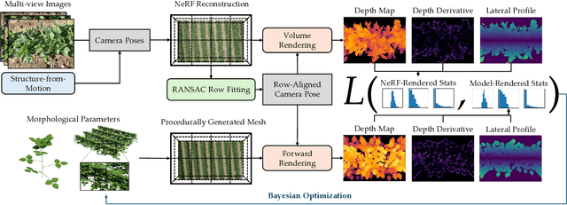 Figure 3 for CropCraft: Inverse Procedural Modeling for 3D Reconstruction of Crop Plants