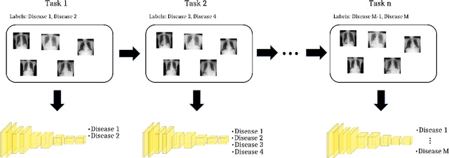 Figure 1 for Multi-Label Continual Learning for the Medical Domain: A Novel Benchmark