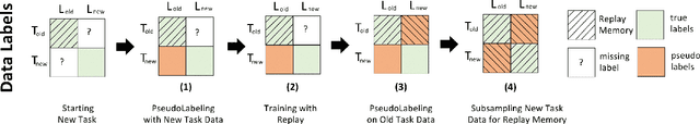 Figure 4 for Multi-Label Continual Learning for the Medical Domain: A Novel Benchmark
