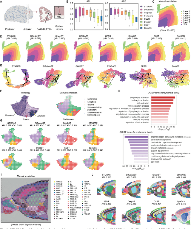 Figure 2 for Masked Graph Autoencoders with Contrastive Augmentation for Spatially Resolved Transcriptomics Data