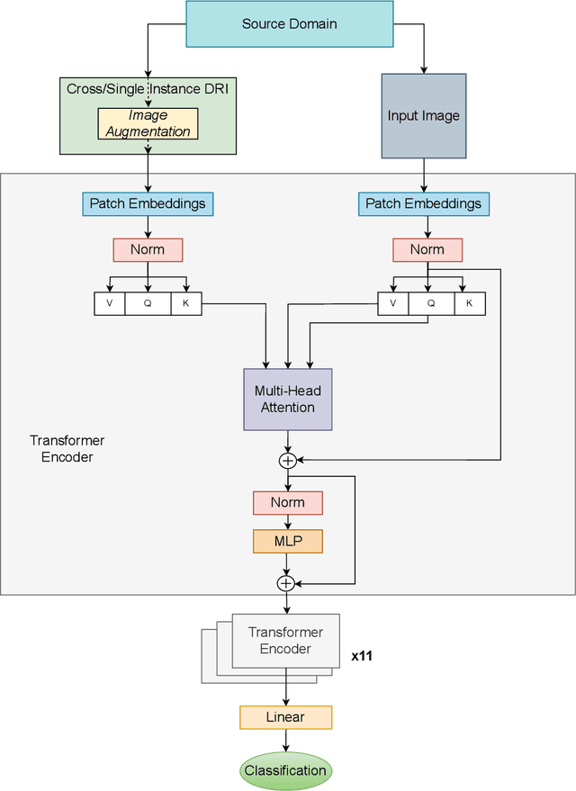 Figure 1 for Improving Source-Free Target Adaptation with Vision Transformers Leveraging Domain Representation Images
