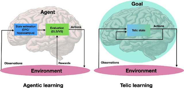 Figure 2 for Goals and the Structure of Experience