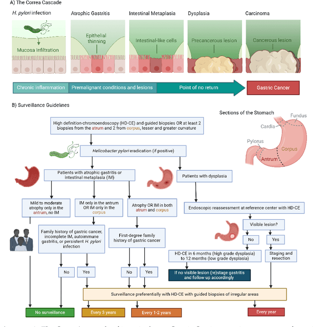 Figure 1 for Foundational Models for Pathology and Endoscopy Images: Application for Gastric Inflammation