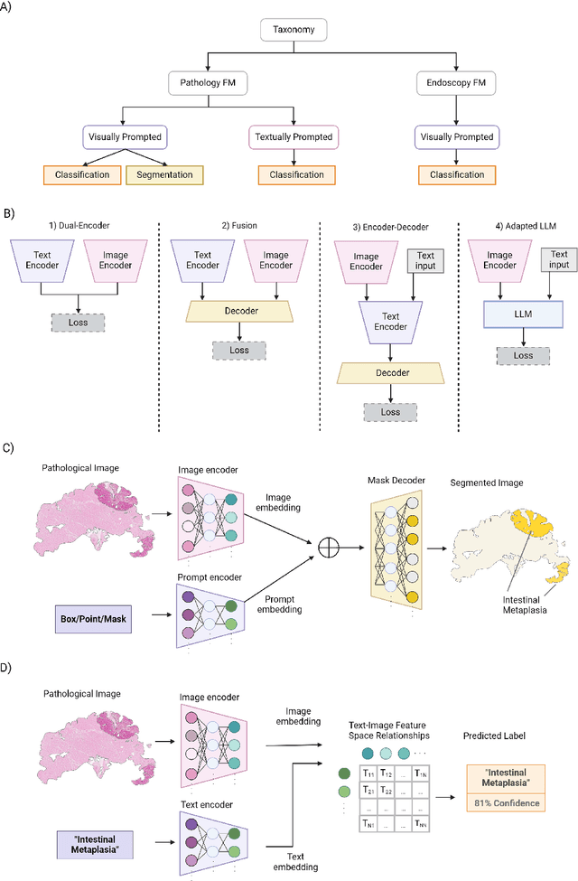 Figure 3 for Foundational Models for Pathology and Endoscopy Images: Application for Gastric Inflammation