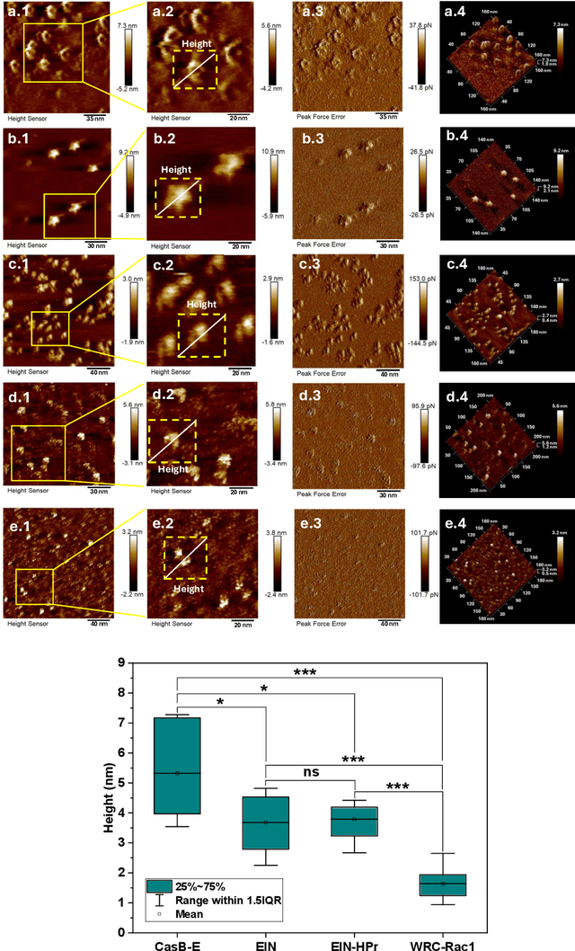 Figure 4 for ProFusion: 3D Reconstruction of Protein Complex Structures from Multi-view AFM Images