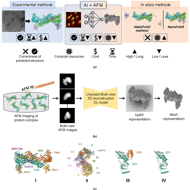 Figure 1 for ProFusion: 3D Reconstruction of Protein Complex Structures from Multi-view AFM Images