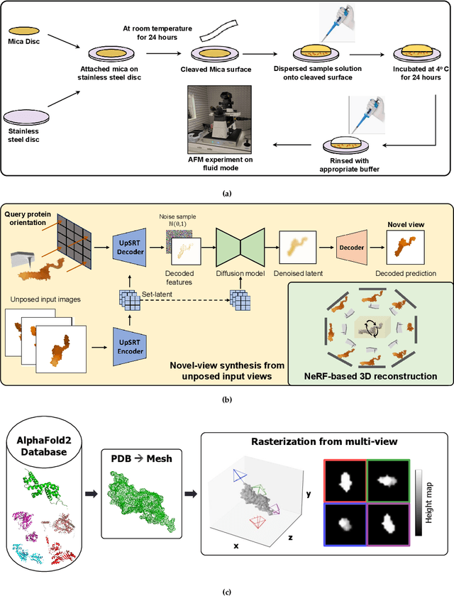 Figure 3 for ProFusion: 3D Reconstruction of Protein Complex Structures from Multi-view AFM Images