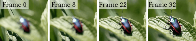 Figure 3 for Learning to Refocus with Video Diffusion Models