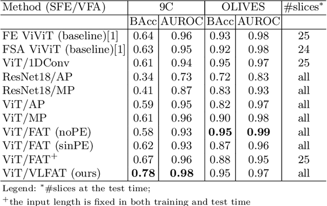 Figure 2 for Transformer-based end-to-end classification of variable-length volumetric data