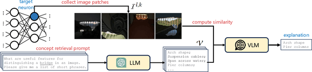 Figure 1 for Automated Natural Language Explanation of Deep Visual Neurons with Large Models