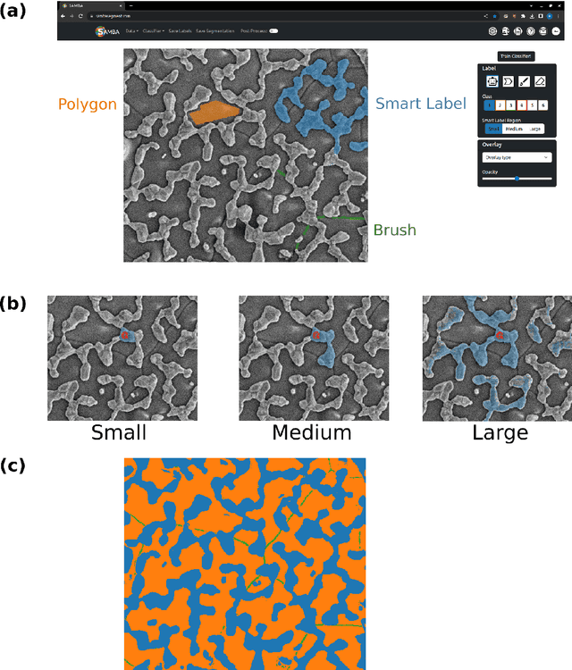 Figure 1 for SAMBA: A Trainable Segmentation Web-App with Smart Labelling