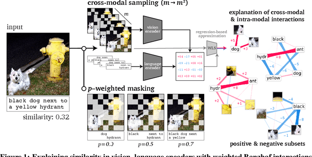 Figure 1 for Explaining Similarity in Vision-Language Encoders with Weighted Banzhaf Interactions