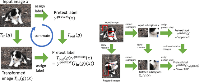 Figure 1 for Self-Supervised Learning for Group Equivariant Neural Networks