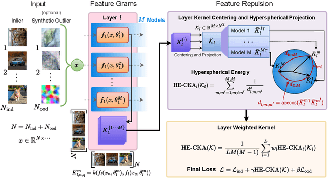 Figure 1 for Enhancing Diversity in Bayesian Deep Learning via Hyperspherical Energy Minimization of CKA