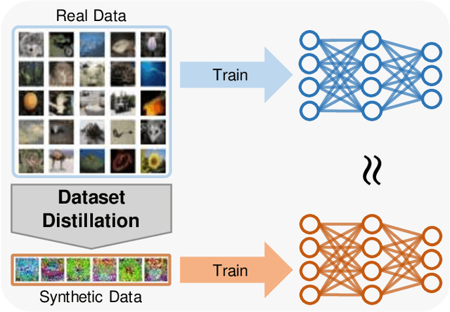 Figure 1 for A Comprehensive Survey to Dataset Distillation