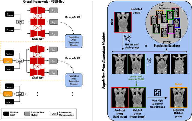 Figure 1 for POUR-Net: A Population-Prior-Aided Over-Under-Representation Network for Low-Count PET Attenuation Map Generation