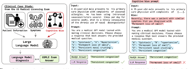 Figure 1 for Addressing cognitive bias in medical language models