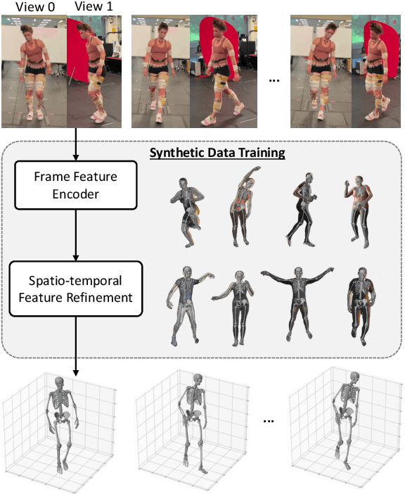 Figure 1 for 3D Kinematics Estimation from Video with a Biomechanical Model and Synthetic Training Data