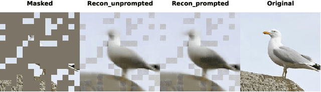 Figure 2 for Masked Autoencoders are Parameter-Efficient Federated Continual Learners