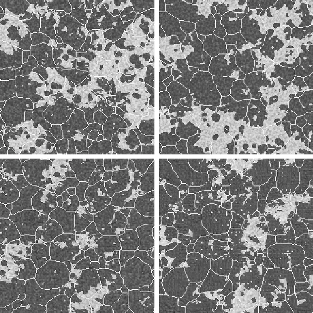 Figure 4 for Evaluation of Machine-generated Biomedical Images via A Tally-based Similarity Measure