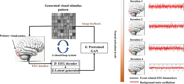 Figure 1 for The VEP Booster: A Closed-Loop AI System for Visual EEG Biomarker Auto-generation