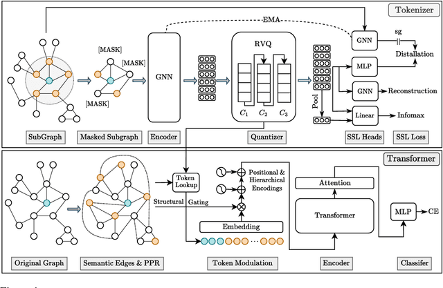 Figure 1 for Learning Graph Quantized Tokenizers for Transformers