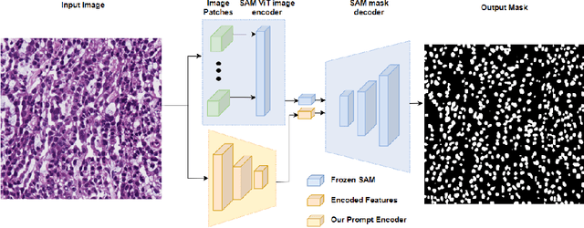 Figure 3 for AutoSAM: Adapting SAM to Medical Images by Overloading the Prompt Encoder