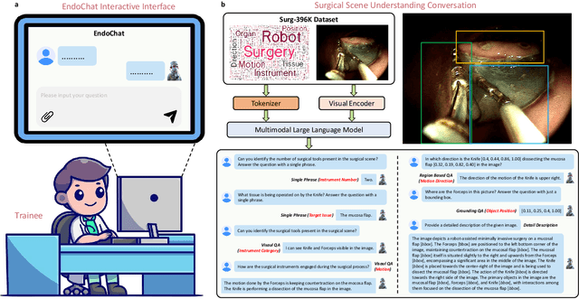 Figure 1 for EndoChat: Grounded Multimodal Large Language Model for Endoscopic Surgery