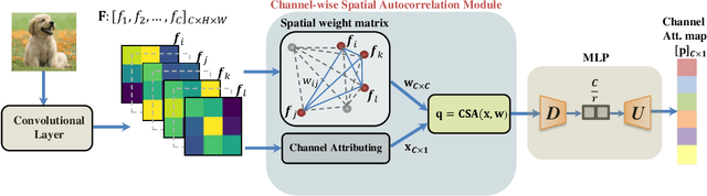 Figure 3 for CSA-Net: Channel-wise Spatially Autocorrelated Attention Networks