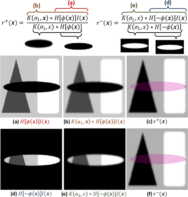 Figure 1 for GPU-Accelerated RSF Level Set Evolution for Large-Scale Microvascular Segmentation